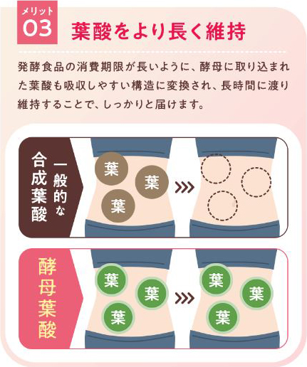 酵母葉酸は葉酸が長くお腹に留まる
